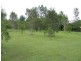 South Kolan QLD 4670