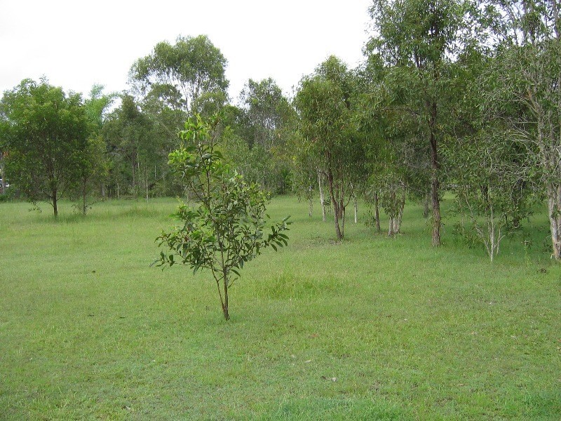 South Kolan QLD 4670