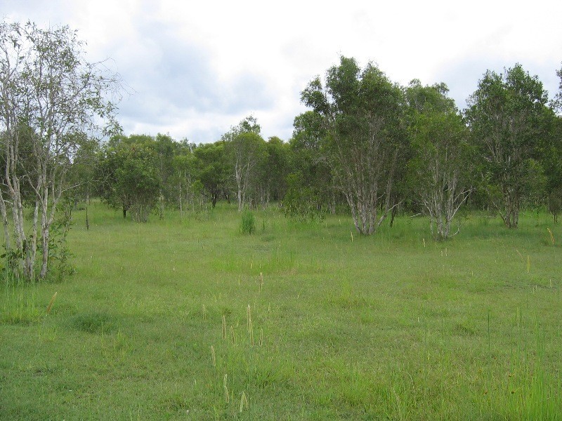 South Kolan QLD 4670