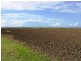 Bundaberg North QLD 4670