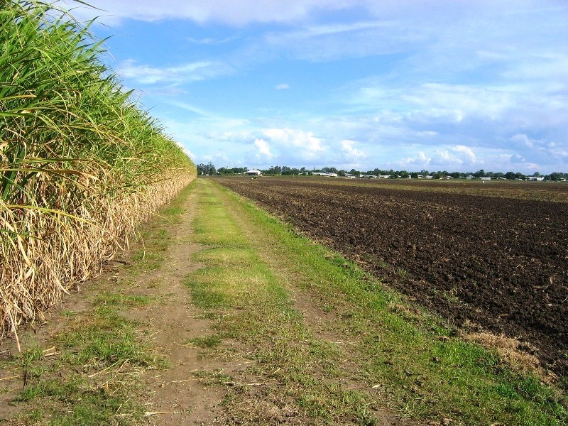 Bundaberg North QLD 4670