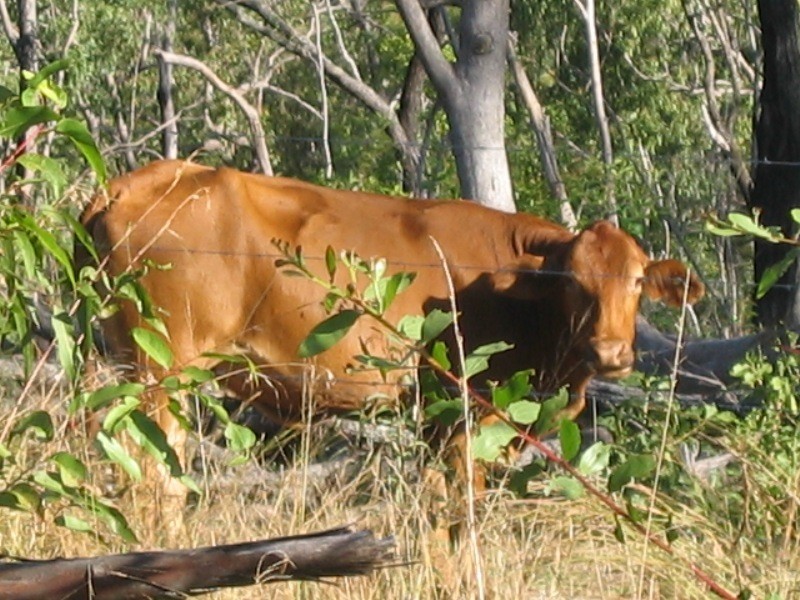 Rosedale QLD 4674