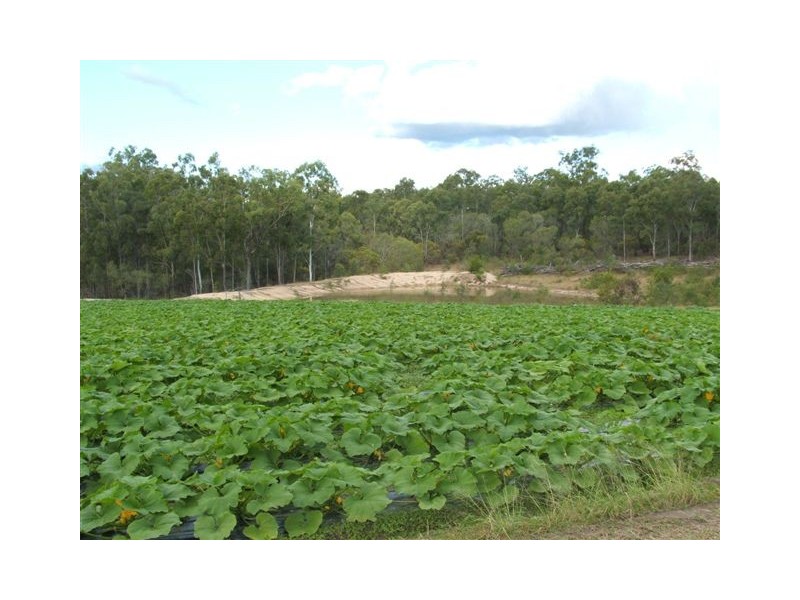 Apple Tree Creek QLD 4660