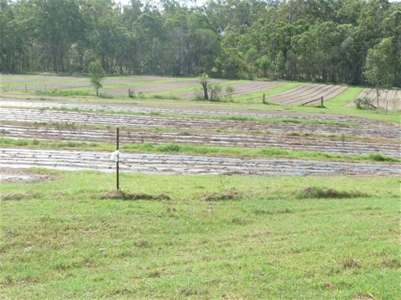 Apple Tree Creek QLD 4660