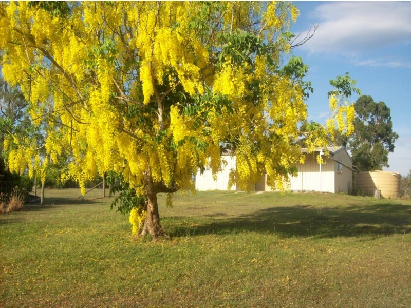 Apple Tree Creek QLD 4660