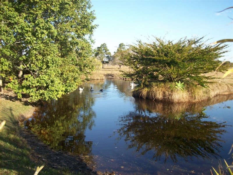 Buxton QLD 4660