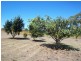 Redridge QLD 4660