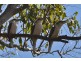Gin Gin QLD 4671
