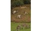 Gin Gin QLD 4671