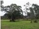Buxton QLD 4660