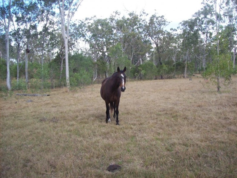 Booyal QLD 4671