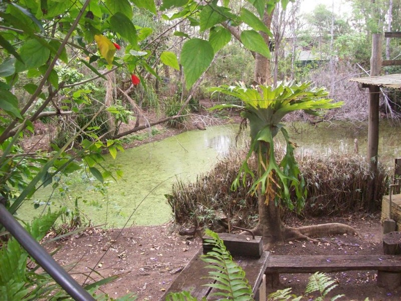 Apple Tree Creek QLD 4660