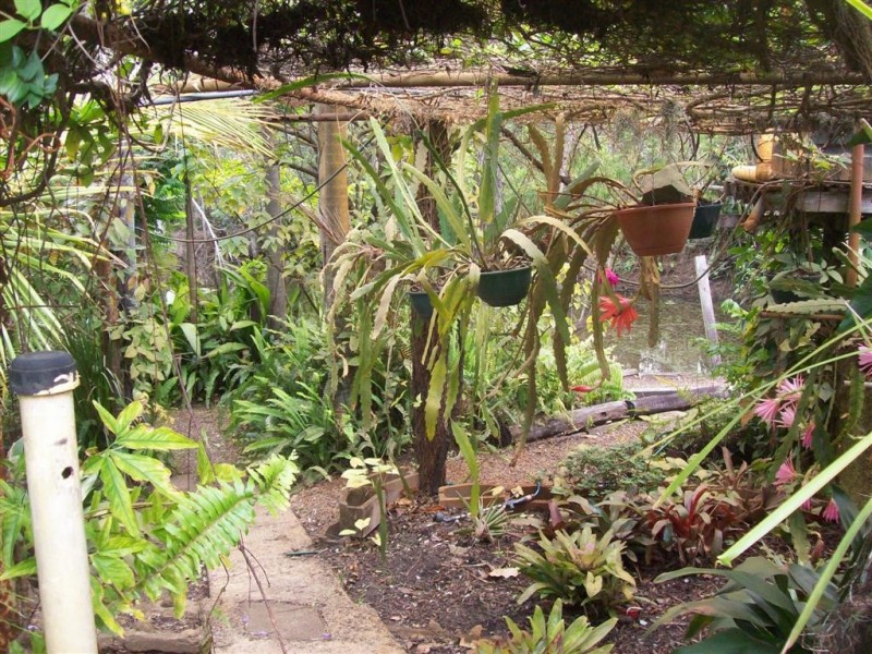 Apple Tree Creek QLD 4660