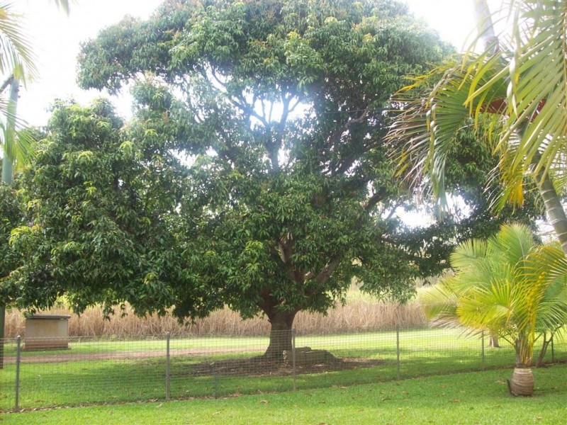 Booyal QLD 4671