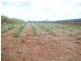 Booyal QLD 4671
