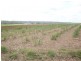 Booyal QLD 4671