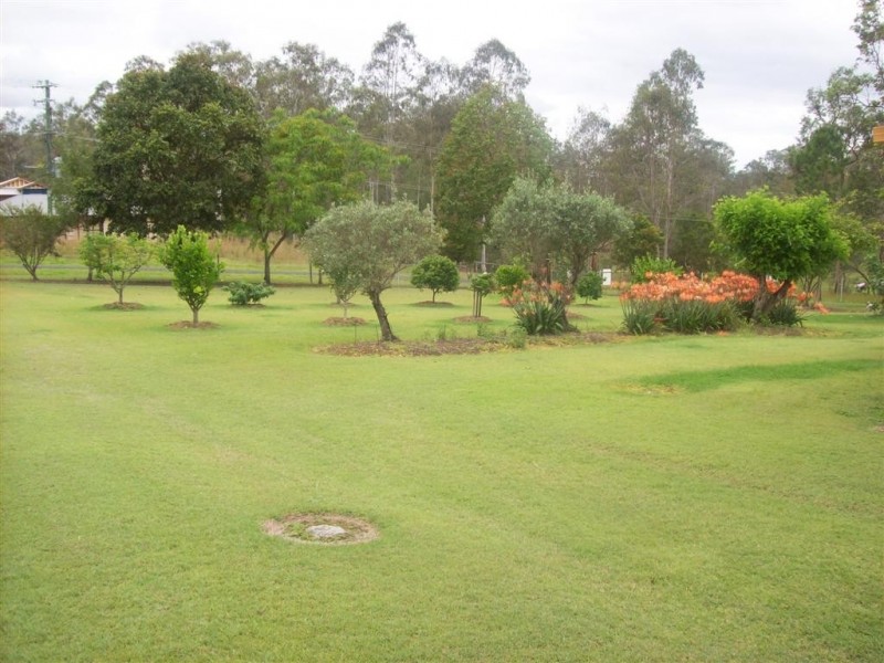 Apple Tree Creek QLD 4660