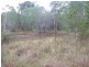 Horse Camp QLD 4671