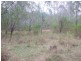 Horse Camp QLD 4671