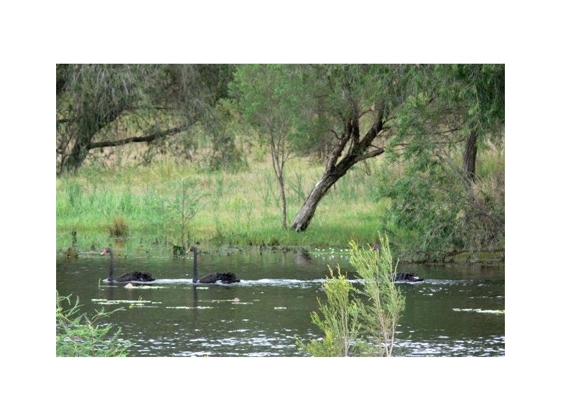 Dallarnil QLD 4621
