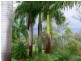 Dallarnil QLD 4621