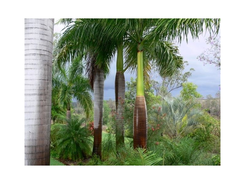 Dallarnil QLD 4621
