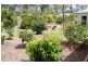 Apple Tree Creek QLD 4660