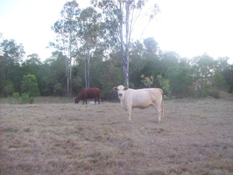 Wallaville QLD 4671
