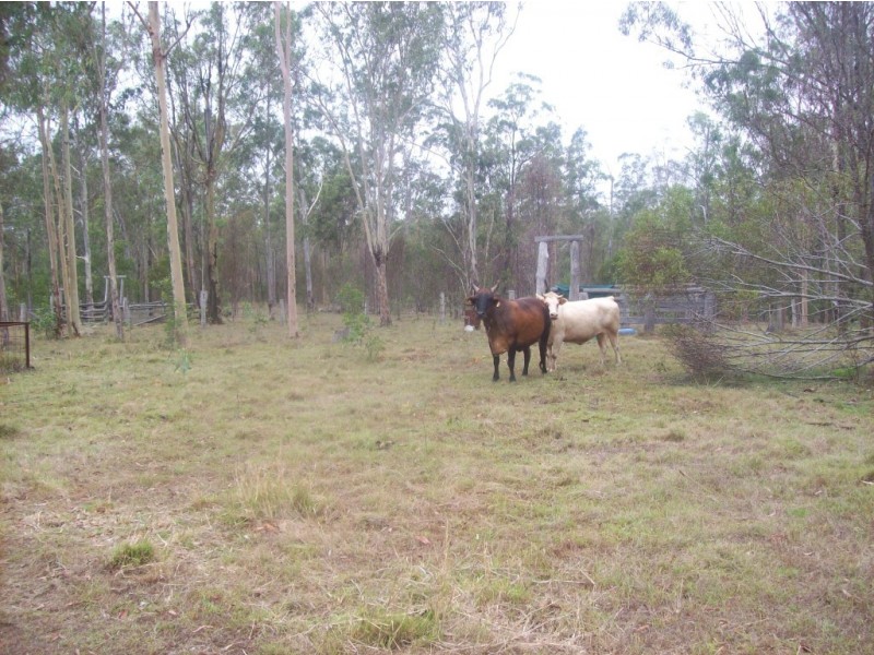 Apple Tree Creek QLD 4660