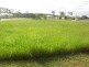 Cordalba QLD 4660