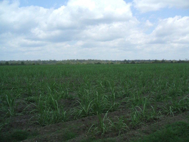 Gregory River QLD 4660