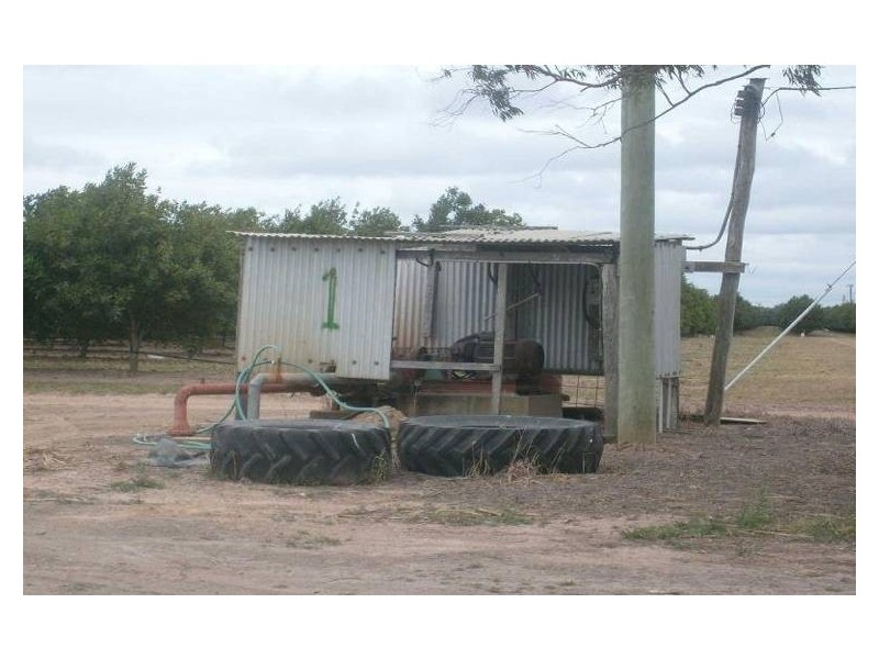 North Gregory QLD 4660