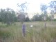 Wallaville QLD 4671