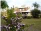 Apple Tree Creek QLD 4660