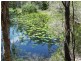 Isis River QLD 4660