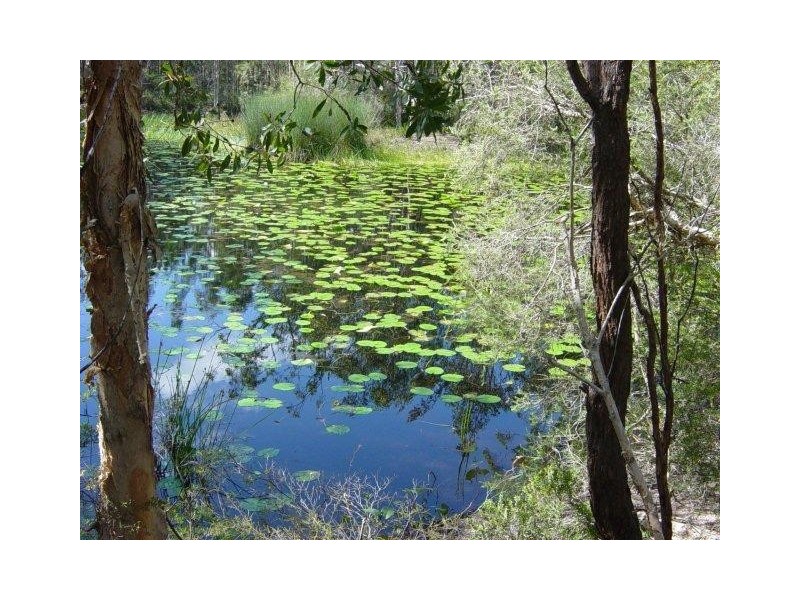 Isis River QLD 4660