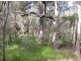 Isis River QLD 4660