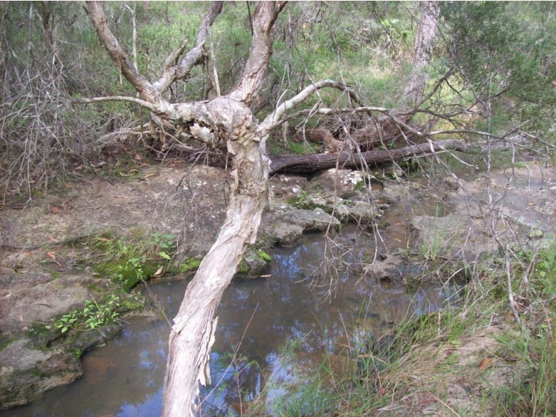 Isis River QLD 4660