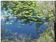 Isis River QLD 4660