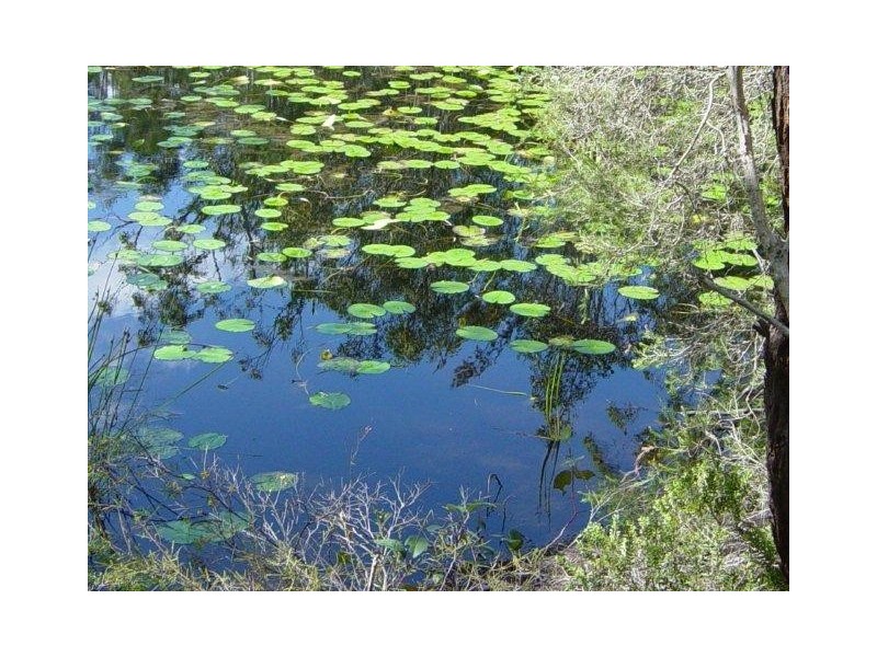 Isis River QLD 4660