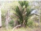 Isis River QLD 4660