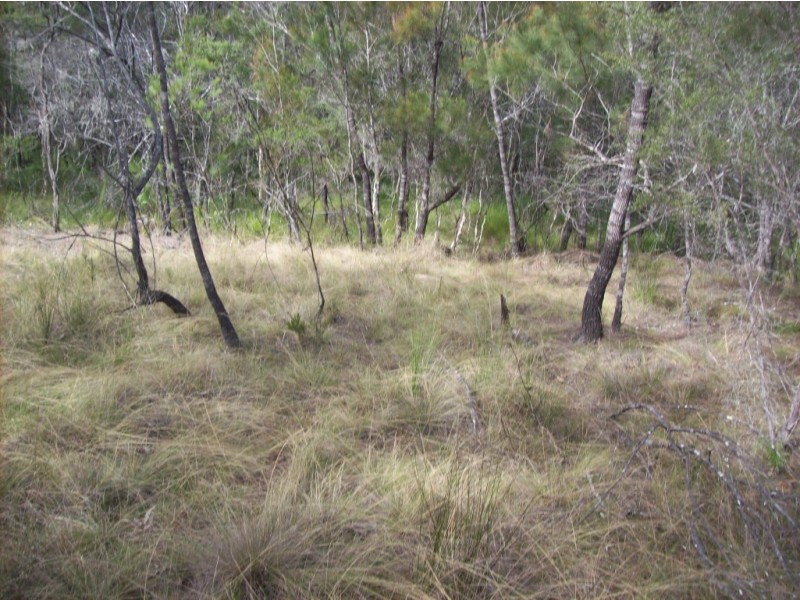 Isis River QLD 4660