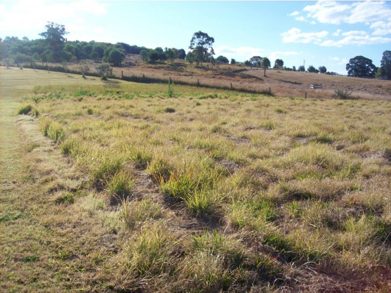 Apple Tree Creek QLD 4660