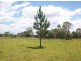 Buxton QLD 4660