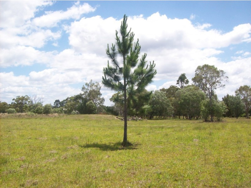 Buxton QLD 4660