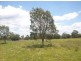 Buxton QLD 4660