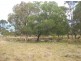 Buxton QLD 4660