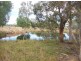 Buxton QLD 4660