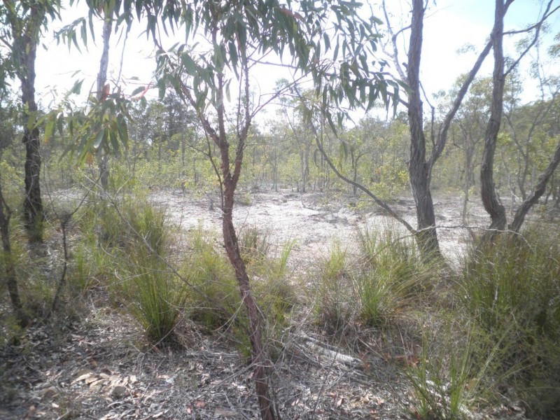 Captain Creek QLD 4677