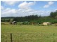 Childers QLD 4660
